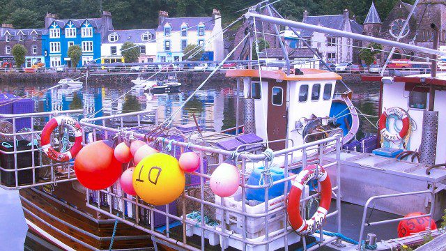 Tobermory Harbour is colourful to say the least!