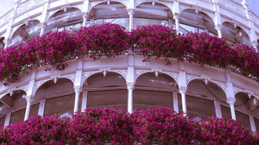 Floral balcony in Dublin