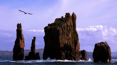 Sea stacks on Shetland
