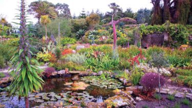 Tresco Gardens, Isles of Scilly