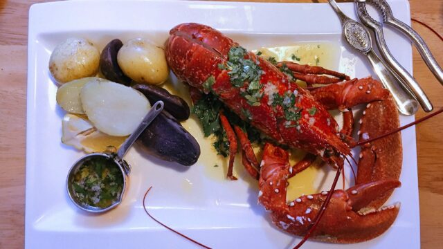 Fresh caught Gigha lobster