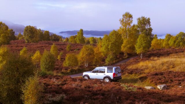 Enjoy a private wildlife tour in The Cairngorms