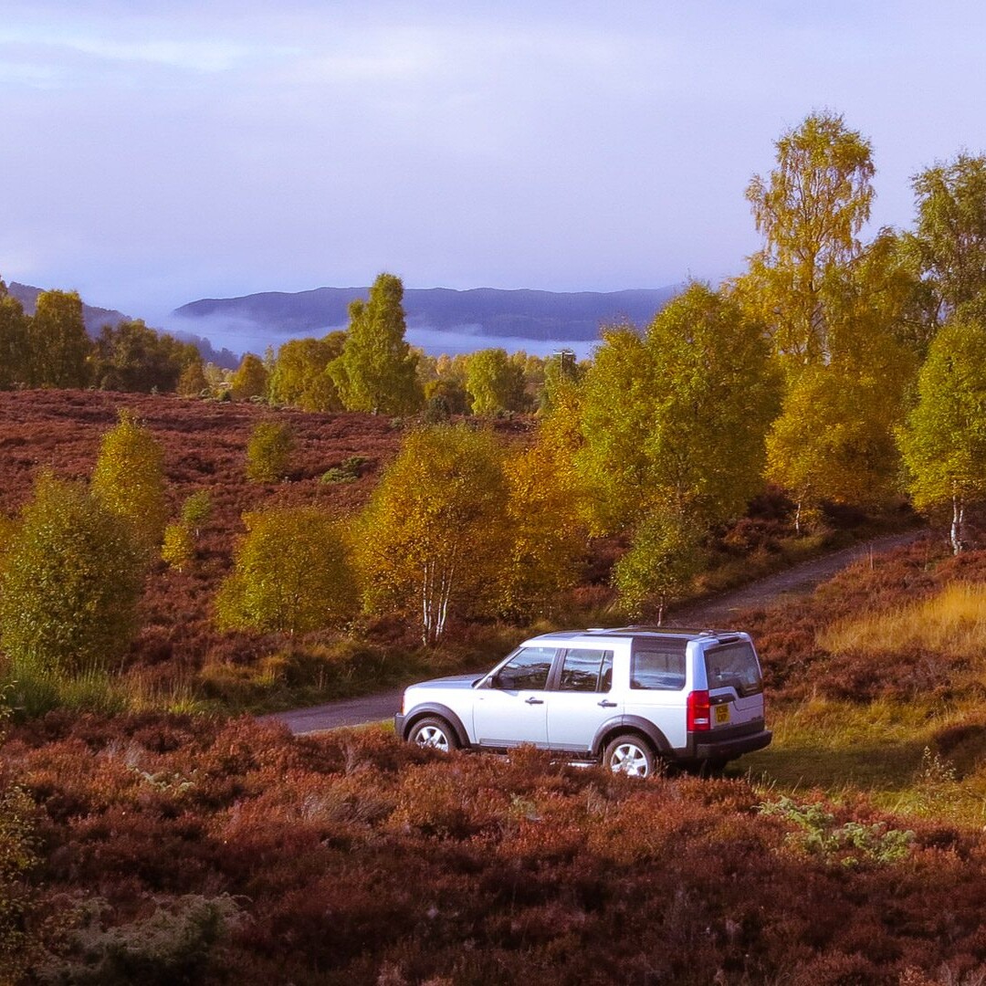 Enjoy a private wildlife tour in The Cairngorms