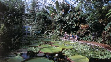Edinburgh's Royal Botanic Gardens