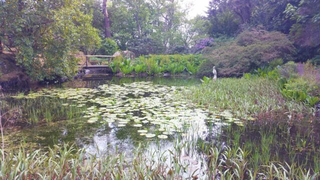 Explore the grounds of your Loch Melfort hotel