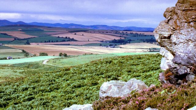 Kyloe Hills