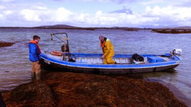 Connemara currach