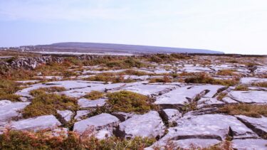 Lime stone pavements on Inis Mor