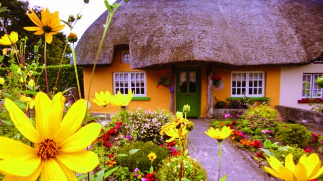 Quaint thatched cottage