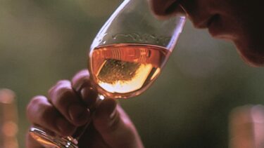 Enjoy whisky tastings