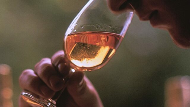 Enjoy whisky tastings