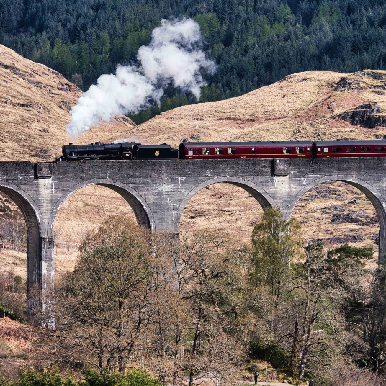 Jacobite Express on the Glenfinnan Viaduct, West Highlands