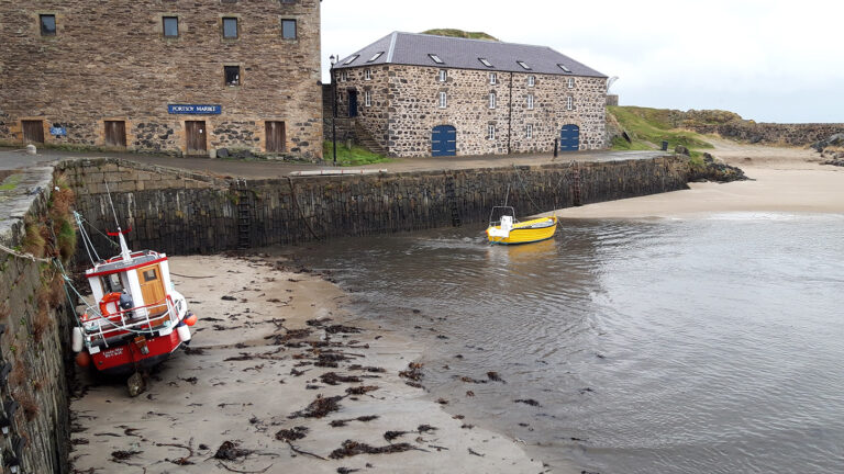 Rediscovering My Roots in Aberdeenshire