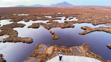 Flow Country in Scotland's North Highlands