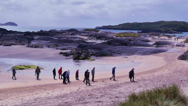 A McKinlay Kidd tour group seaweed foraging on The Ring of Kerry