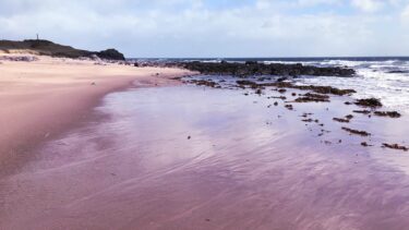 One of Kintyre's glorious empty beaches