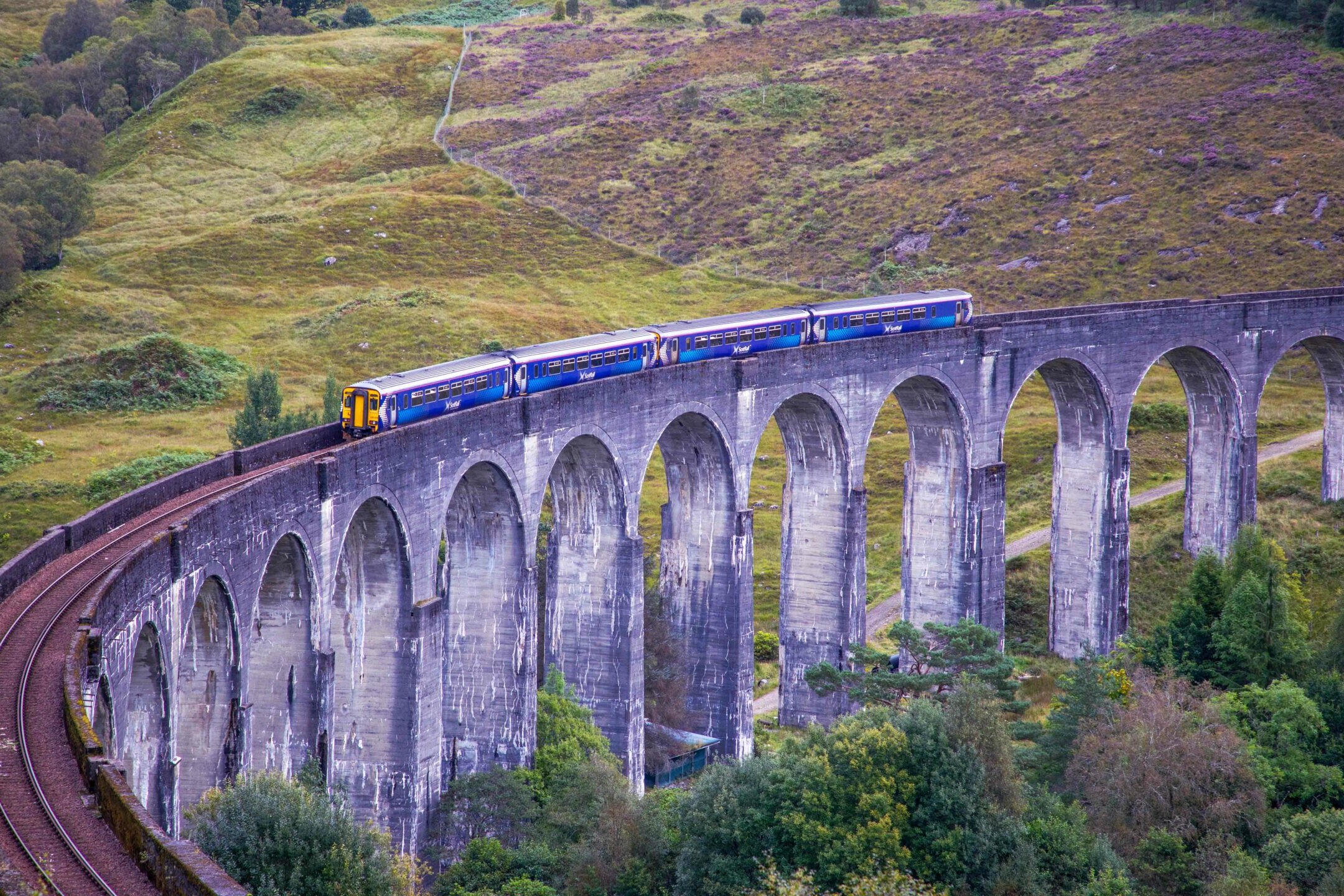 Scotrail Train going over the Glenfinnan Viaduct