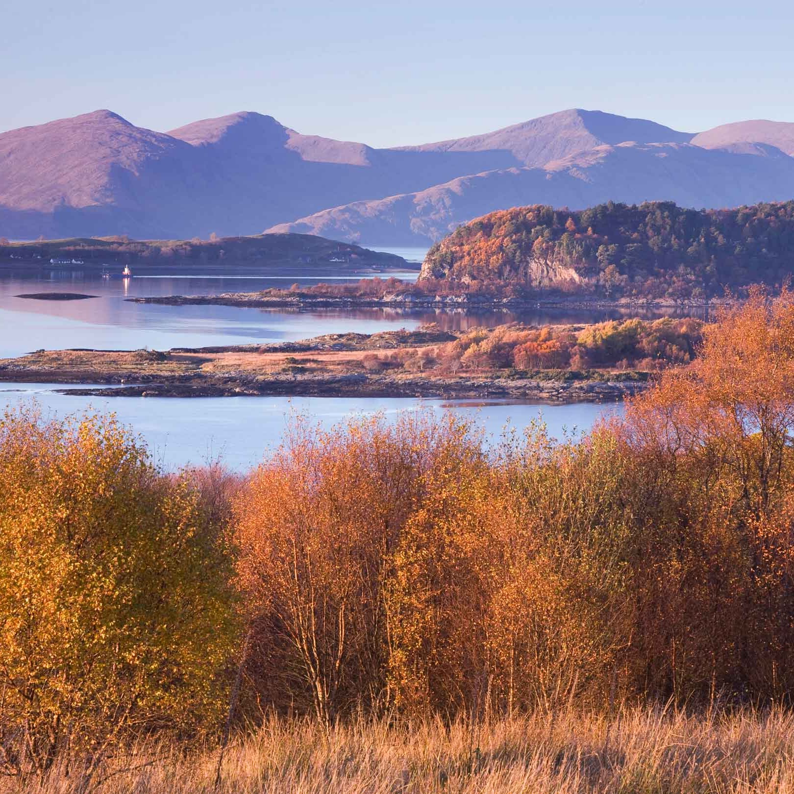 Eriska Mountain view point, Scotland