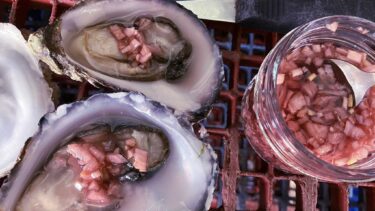 Oyster farm, Loch Creran on Scotland's West Coast