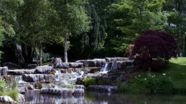 A picture of the Japanese Gardens at the Irish Royal Stud in County Kildare, Ireland