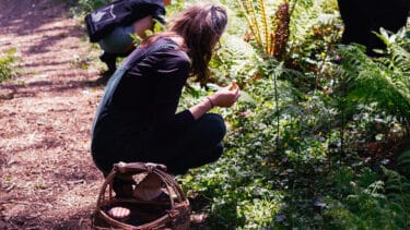A guided foraging tour through forestry in West Cork, Ireland